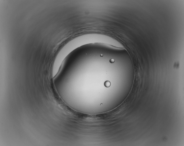 X0000113620556200910091534