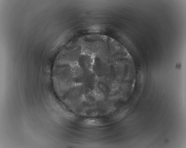 X0000113620557200910091534