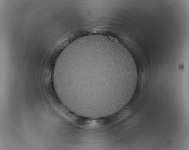 X0000113620558200910091534