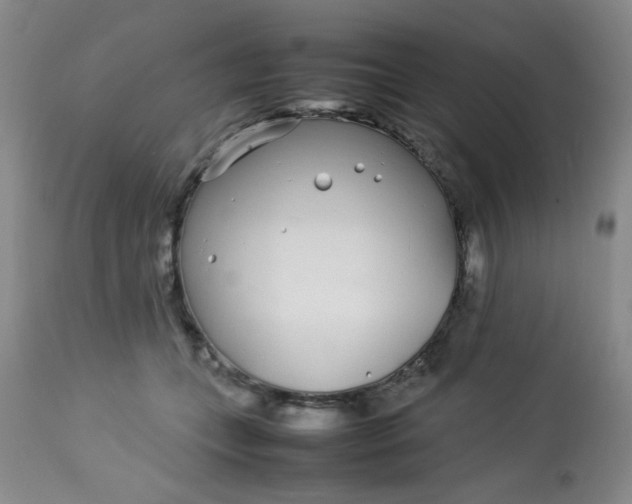 X0000113620559200910091534