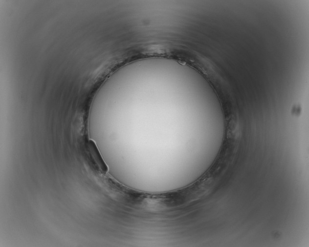 X0000113620560200910091534