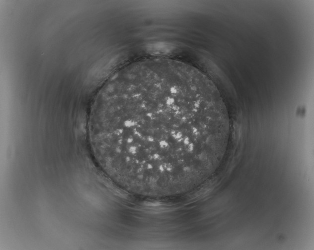 X0000113620561200910091534