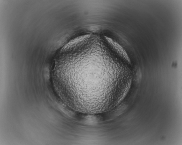 X0000113620562200910091534
