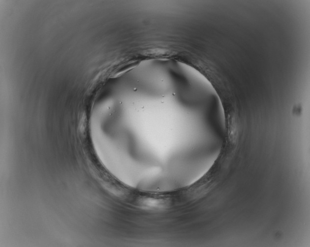 X0000113620563200910091534