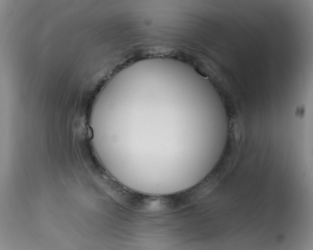X0000113620564200910091534