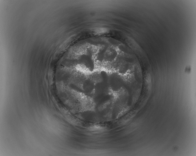 X0000113620565200910091534