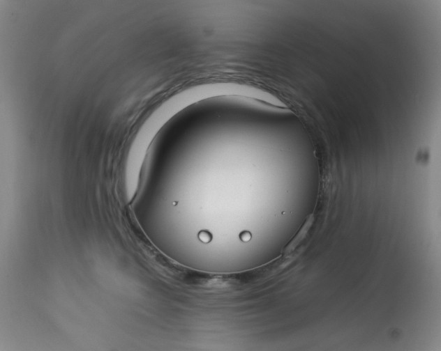 X0000113620566200910091534