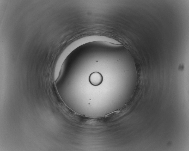 X0000113620568200910091534