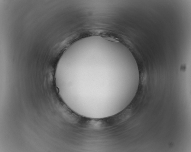 X0000113620570200910091534