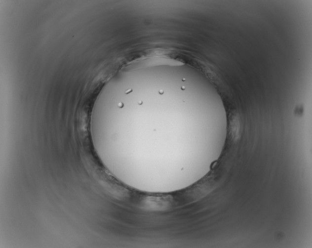 X0000113620571200910091534