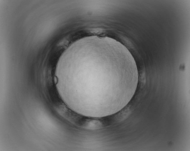 X0000113620572200910091534