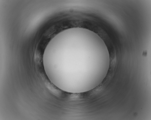 X0000113620574200910091534