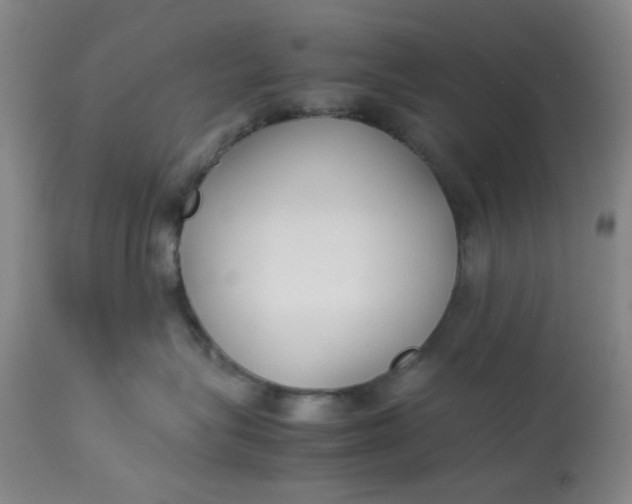 X0000113620575200910091534