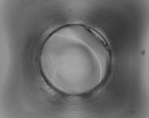 X0000113620577200910091533