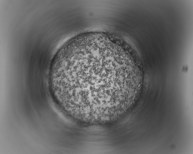 X0000113620578200910091533