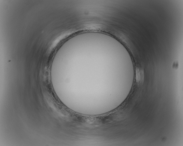 X0000113620579200910091533