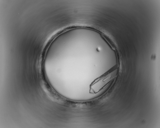 X0000113620580200910091533