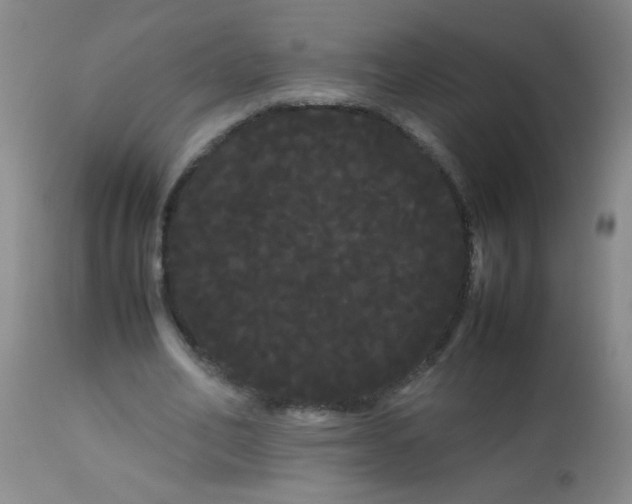 X0000113620582200910091533