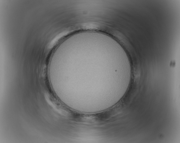 X0000113620583200910091533