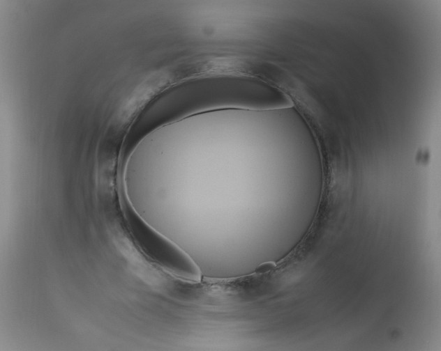 X0000113620585200910091533