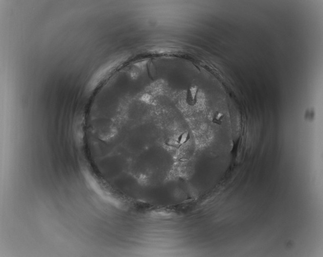 X0000113620586200910091533