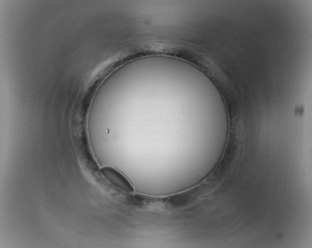 X0000113620587200910091533