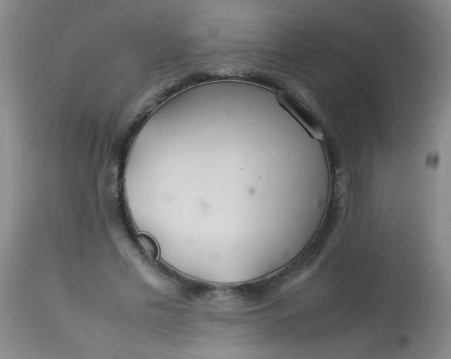 X0000113620589200910091533