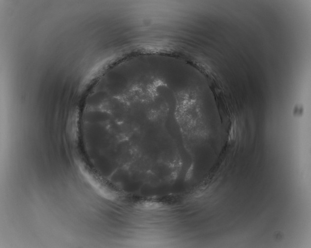 X0000113620590200910091533