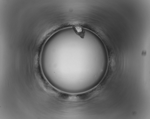 X0000113620591200910091533