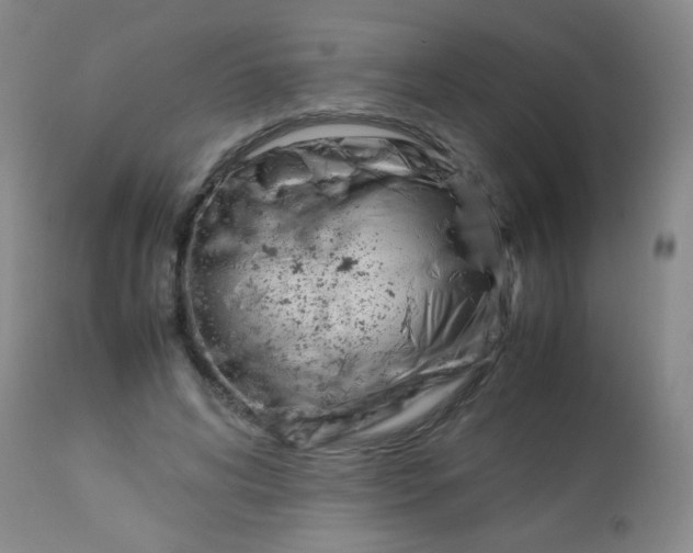 X0000113620592200910091533