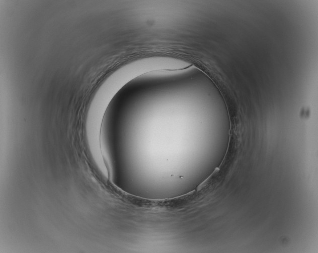 X0000113620593200910091533