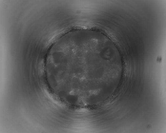 X0000113620594200910091533