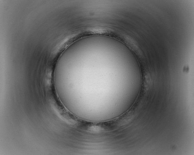 X0000113620596200910091533