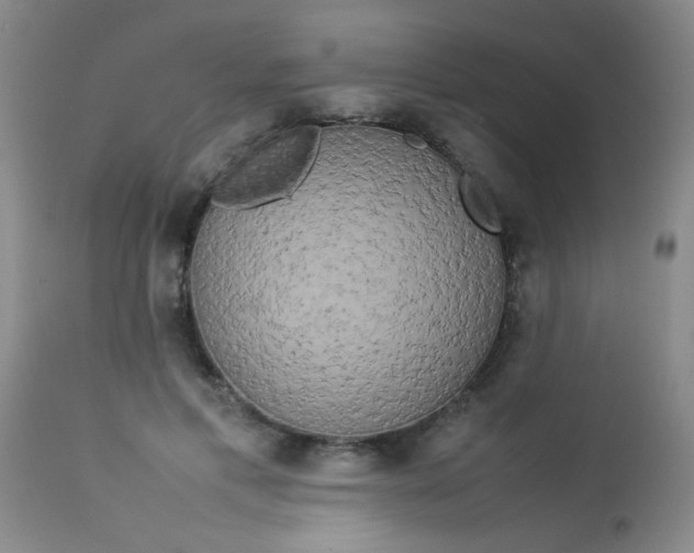 X0000113620597200910091533