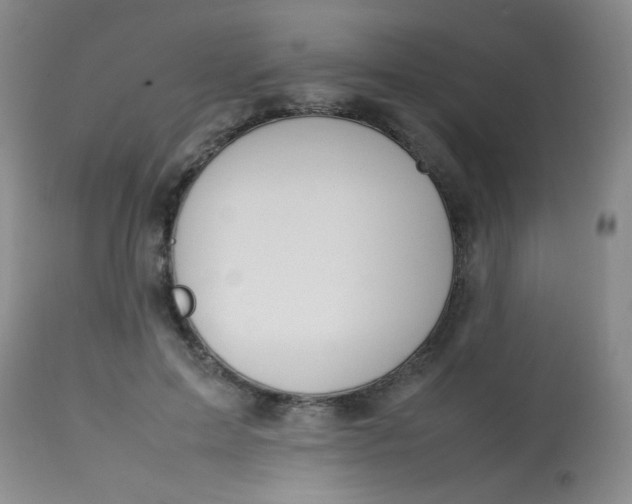 X0000113620599200910091533