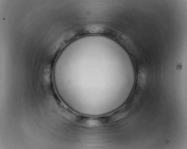 X0000113620604200910091533