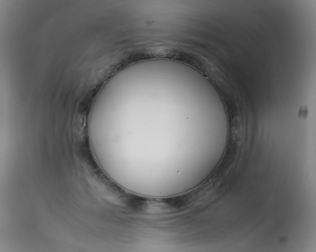 X0000113620605200910091533