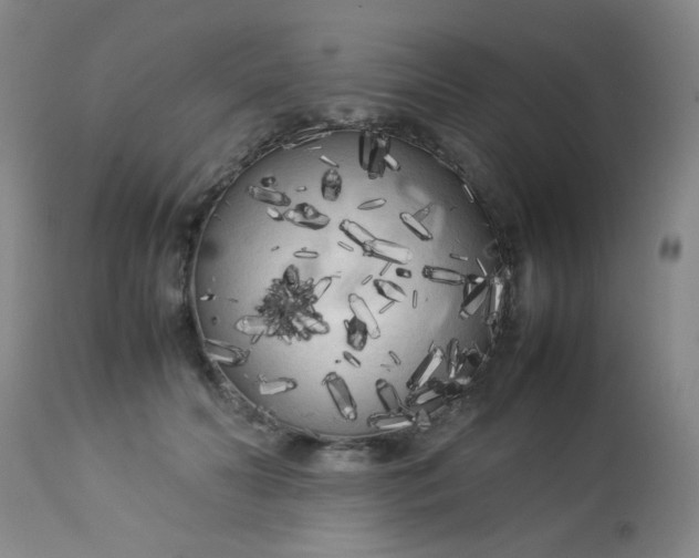 X0000113620606200910091533