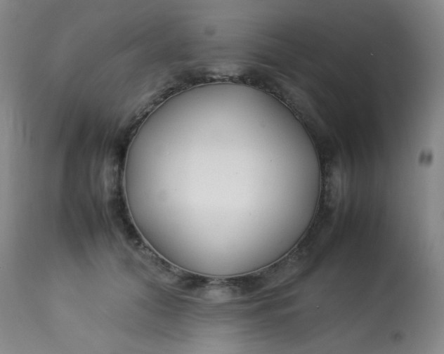 X0000113620608200910091533