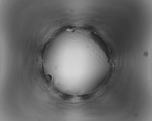X0000113620609200910091533