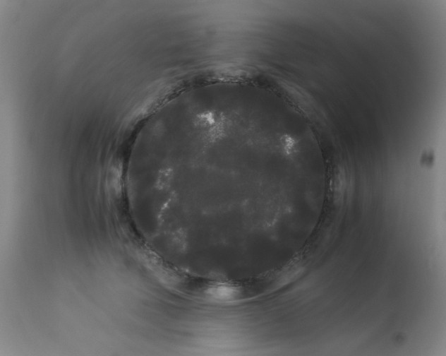 X0000113620610200910091533