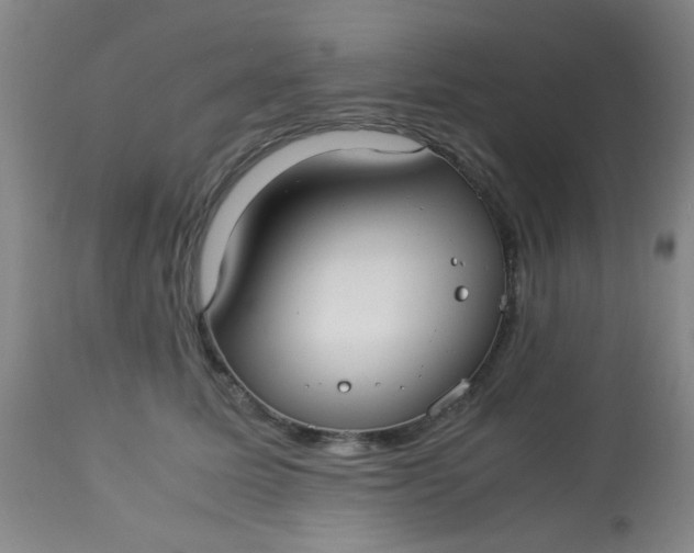 X0000113620611200910091533