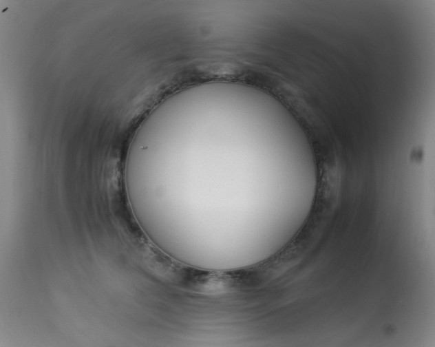 X0000113620612200910091533