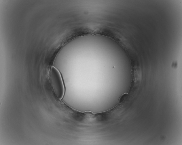 X0000113620613200910091533