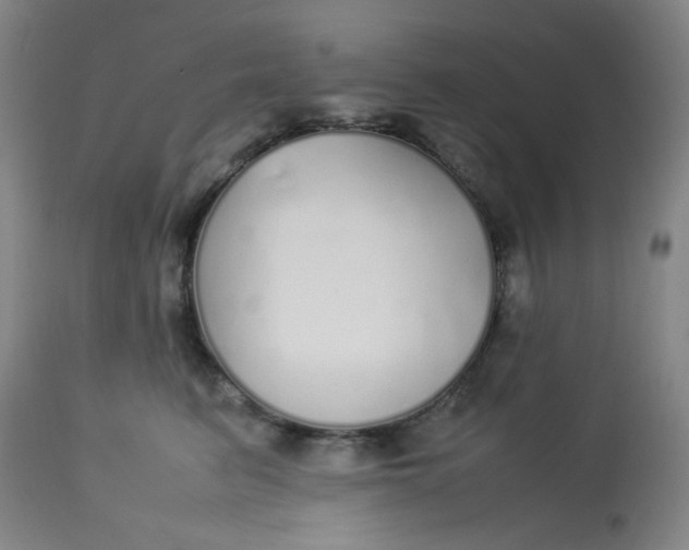 X0000113620615200910091533