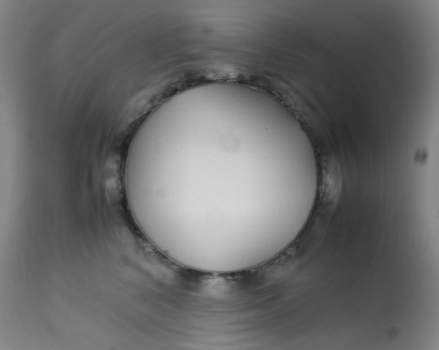 X0000113620616200910091533