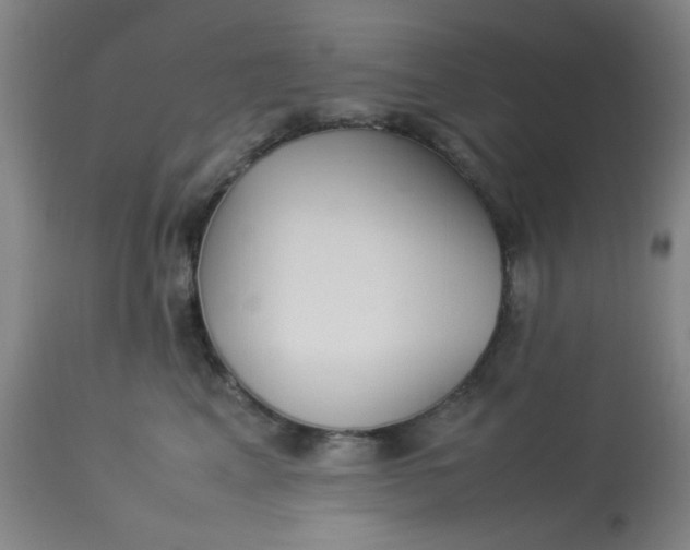 X0000113620617200910091533