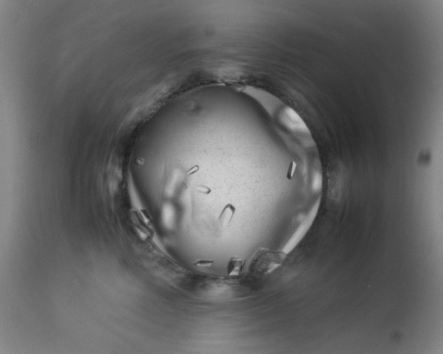 X0000113620618200910091533