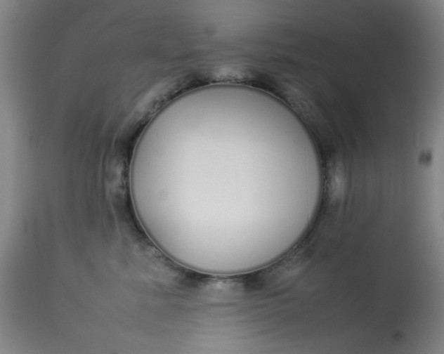 X0000113620619200910091533