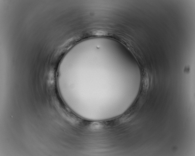 X0000113620620200910091533